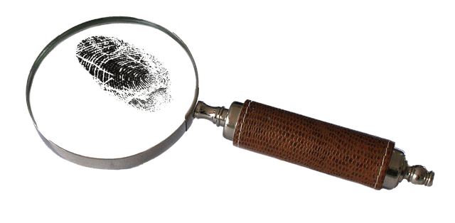 magnifying, glass, detective, mystery, lens, magnifier, discovery, tool, magnify, crime, investigate, optical, investigation, whodunnit, clue, fingerprint, criminal, evidence, print, examination, finding, enlarge, detective, detective, detective, investigation, clue, fingerprint, evidence, evidence, evidence, evidence, evidence